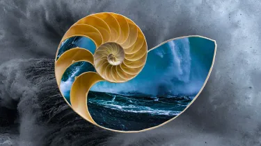 Graphic showing a shell with stormy oceans within superimposed over waves crashing onto shore