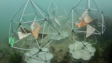 Metal structures under water.