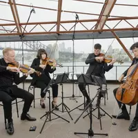 A string quartet playing in the foyers of the Sydney Opera House.