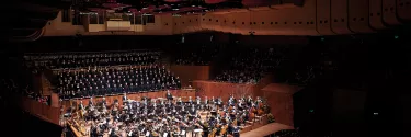 An Orchestra performing on the stage.