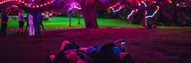 People lying under a lit up tree